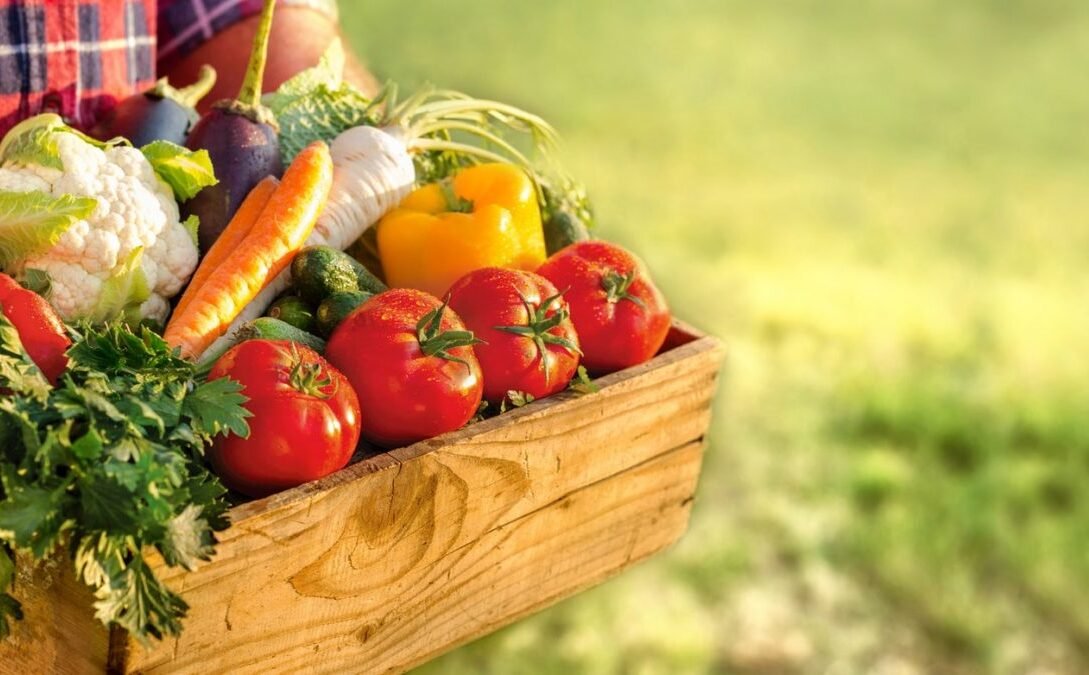 Alimentation saine
