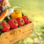 Alimentation saine