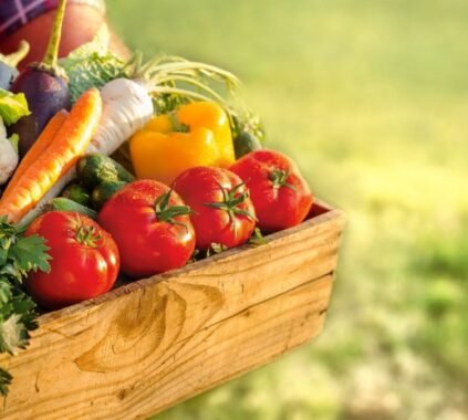 Alimentation saine