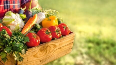 Alimentation saine