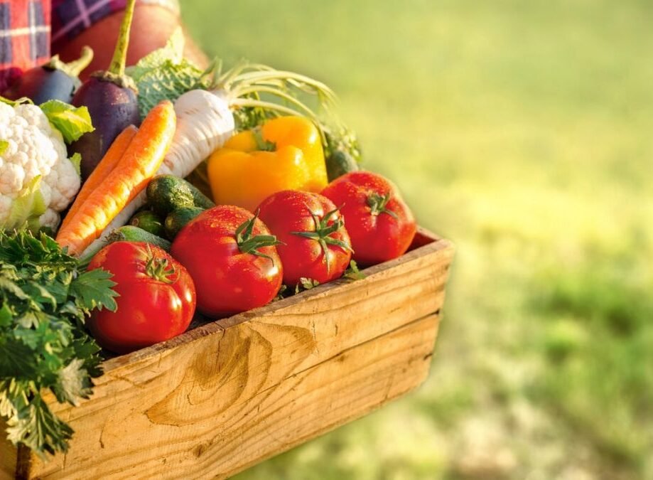 Alimentation saine